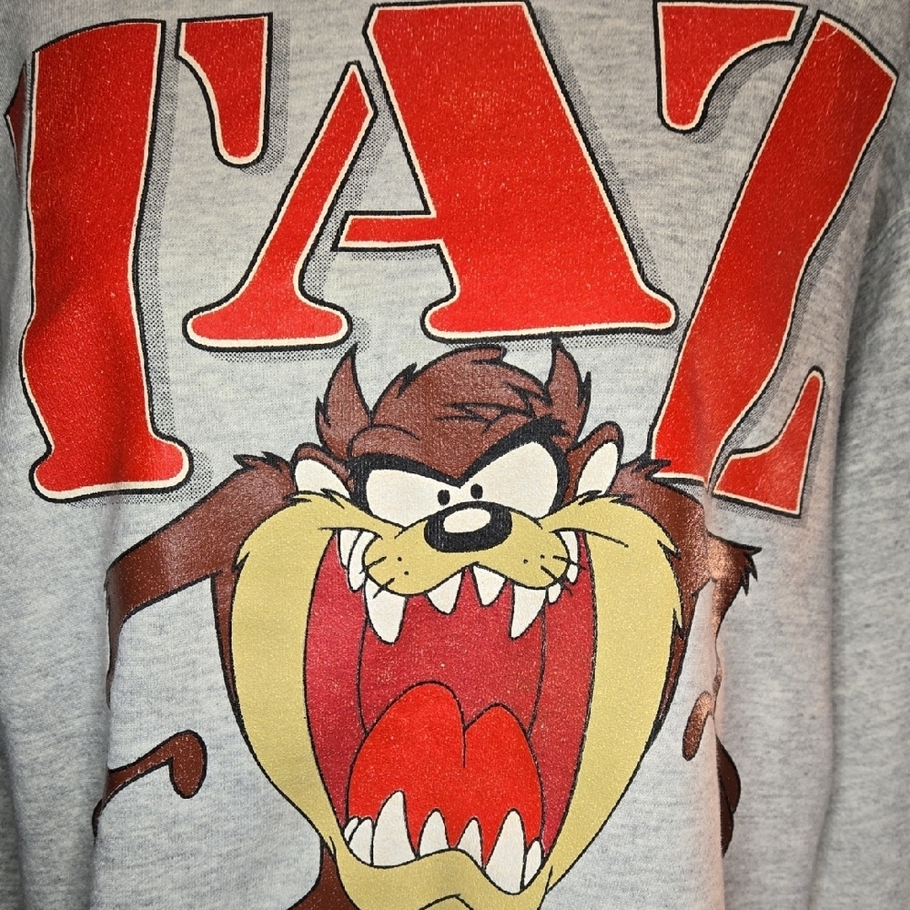 Vintage 1992 Looney Tunes Taz Gray Sweatshirt Velva Sheen Tag Adult Large - Picture 4 of 8